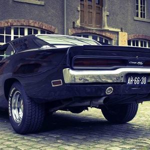 Meet your Posher, Tammy